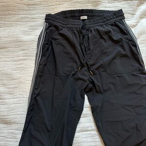 Aritzia TNA Joggers